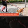 Комплект светлоотразителни кучешки нашийник и каишка, снимка 6