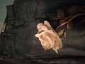 Дамски дънки Tally Weijl (36) , снимка 6