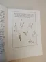 Ние врабчетата - Йордан Радичков (1968, ПЪРВО ИЗДАНИЕ), снимка 3