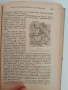 Произходът на човека и половият отбор 1947г, снимка 3
