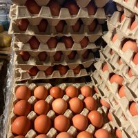 Продаваме яйца различни размери , снимка 3 - Домашни продукти - 43792001