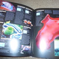 енциклопедия океан, снимка 3 - Енциклопедии, справочници - 43368038