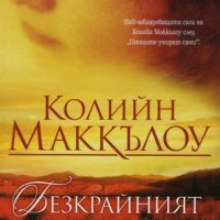 Безкрайният път към дома, снимка 1 - Художествена литература - 39717677