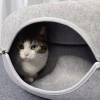 Нов Тунел за игра и скривалище за котки * Котка * Легло * Къща * Хралупа - Размери, снимка 9 - За котки - 43033912