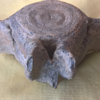 Фосил, прешлен от праисторически кит, снимка 3 - Други ценни предмети - 43285802