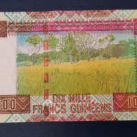 10 000 франка Екваториална Гвинея 2012 г UNC, снимка 2 - Нумизматика и бонистика - 44873196