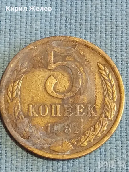 Стара монета 5 копейки 1981г. СССР рядка за КОЛЕКЦИЯ ДЕКОРАЦИЯ 39387, снимка 1