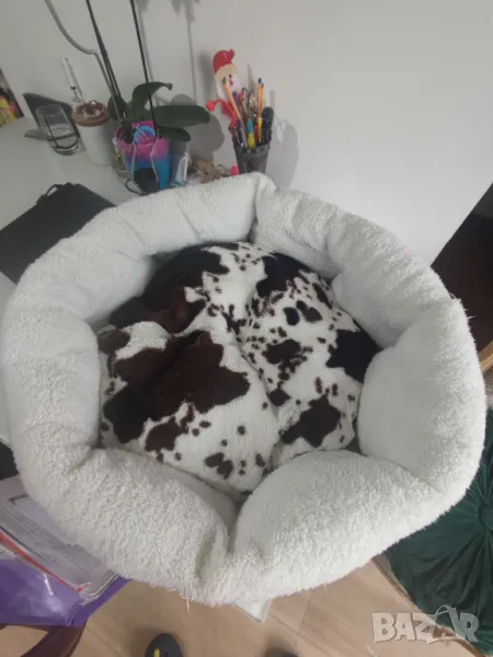 Легло за домашни любимци, снимка 1