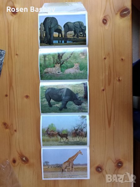  Картичка. Плик.Албум., снимка 1