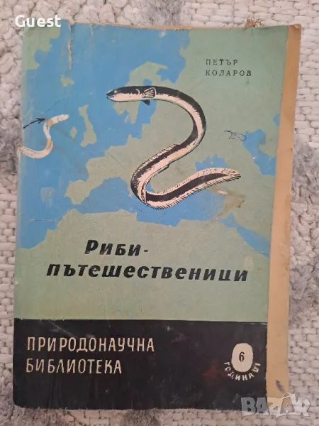 Риби пътешественици , снимка 1