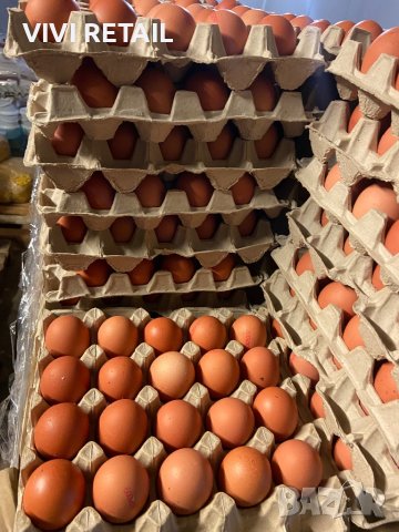 Продаваме яйца различни размери , снимка 3 - Домашни продукти - 43792001