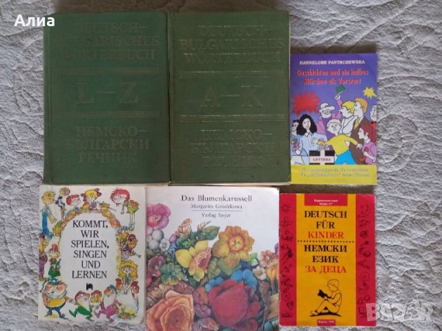 Немски речници, както и книжки до ниво С1, снимка 9 - Чуждоезиково обучение, речници - 34045961