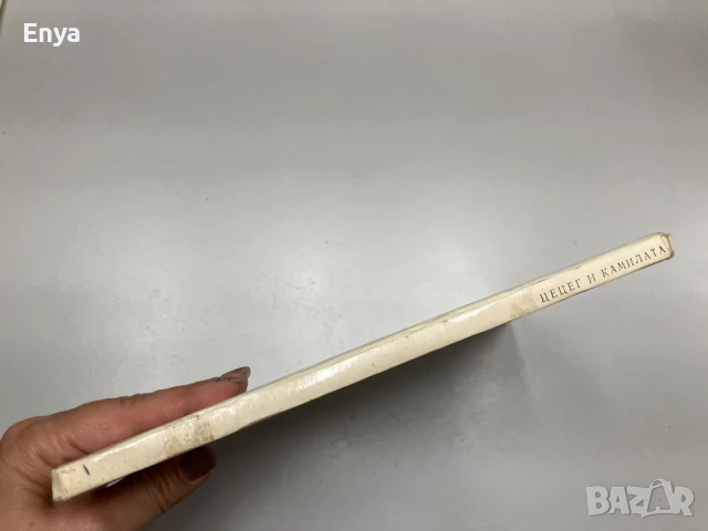 Цецег и камилата -  Жамбин Дашдондог (1981 г.) , снимка 4 - Детски книжки - 50897387