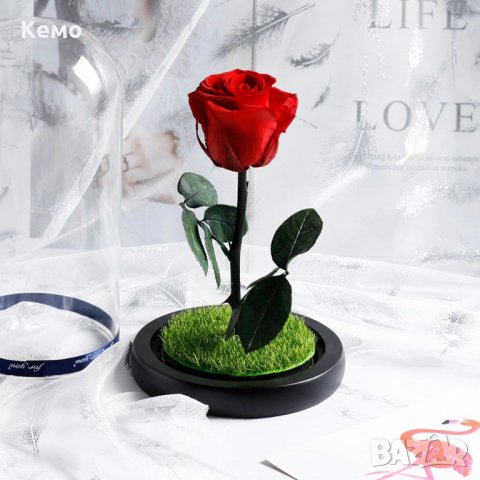 Вечна естествена роза в стъкленица, снимка 8 - Декорация за дома - 27657211