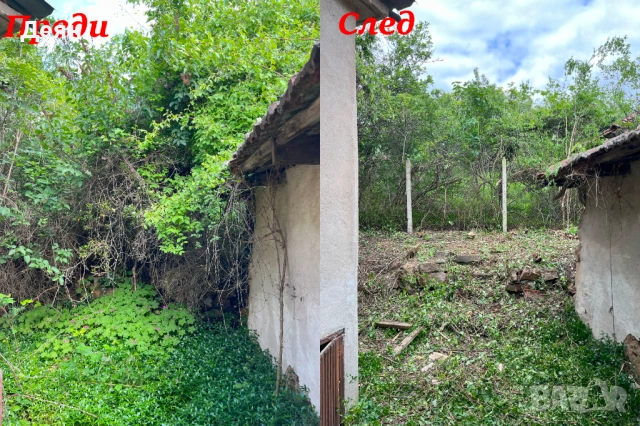 Почистване на дворове в община Своге, Годеч , Костинброд и Нови Искър, снимка 6 - Други почистващи услуги - 41537338