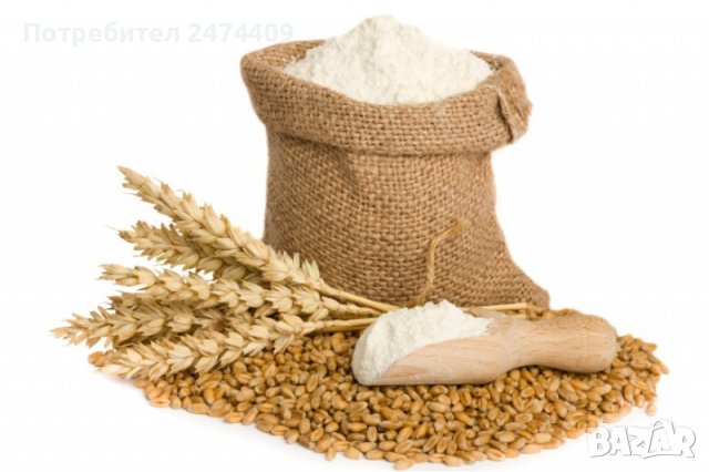 Пшеница царевица , снимка 2 - За селскостопански - 37211914