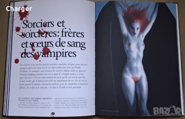 Комикс - Вампирска енциклопедия, снимка 8 - Списания и комикси - 52405349