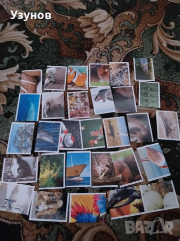 Стикери на Била-104 броя, снимка 3 - Колекции - 52508826