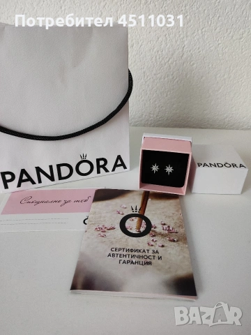 Обеци Пандора/Pandora , снимка 3 - Обеци - 53491202