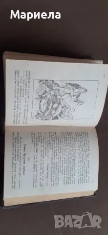 Стара книга  христо ботев 1943г, снимка 4 - Антикварни и старинни предмети - 49646430