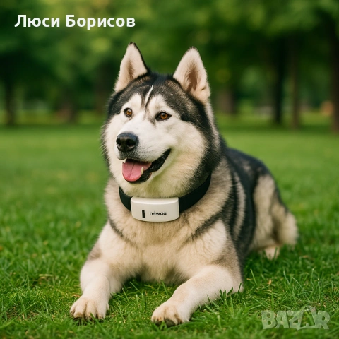 Тракер за домашен любимец - GPS локатор!