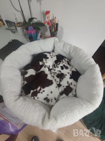 Легло за домашни любимци, снимка 1