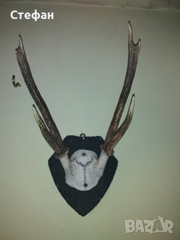 Еленови рога., снимка 3 - Ножове - 43950874