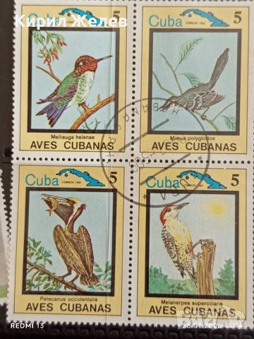 Стари пощенски марки от цял свят смесени ПТИЦИ, ЦВЕТЯ за КОЛЕКЦИЯ ДЕКОРАЦИЯ 52069, снимка 8 - Филателия - 53232019