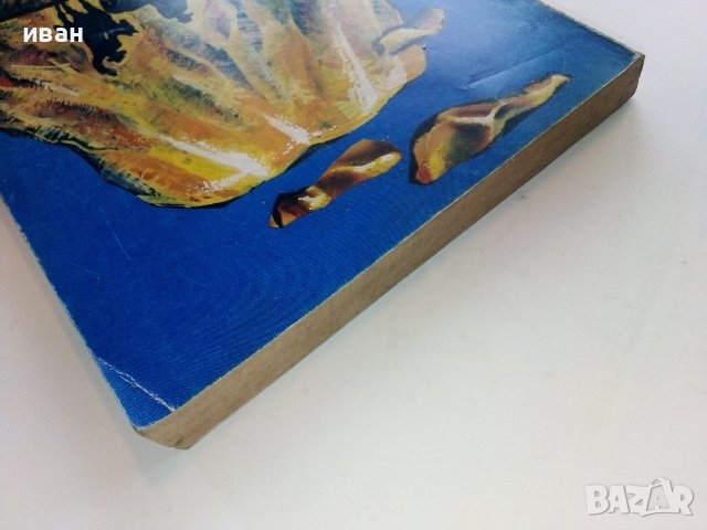 Златният вулкан - Жул Верн - 1992г. , снимка 8 - Художествена литература - 38974189