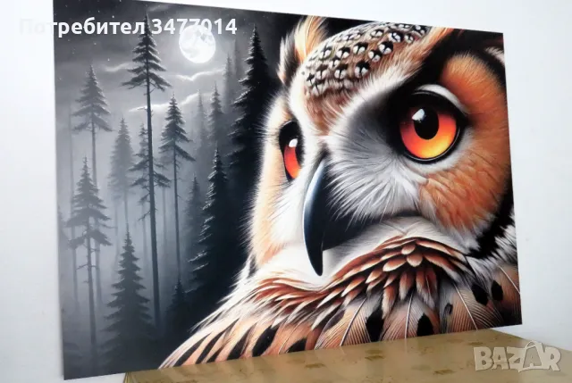 Картина с бухал, различни рамери