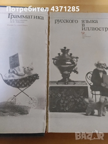 българско-руски илюстрован речник и граматика в илюстрации, снимка 2 - Чуждоезиково обучение, речници - 51947374