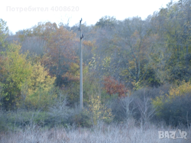 Продавам от 12 дка в с. Приселци, общ. Аврен, обл. Варна – местност „ЯВЛ“(На около 2км от селото), снимка 2 - Парцели - 52355518