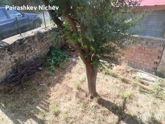 Къща с парцел , снимка 16 - Вили - 51923374