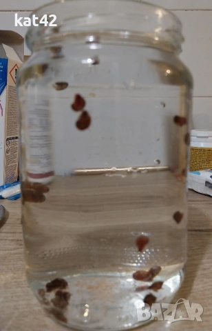 Подарявам лампа за аквариум и охлювчета, снимка 2 - Оборудване за аквариуми - 53426293