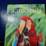 Голяма детска инциклопедия животни, снимка 5