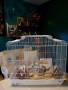Продавам клетка за папагали , снимка 6