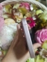 Iphone 15 128gb, снимка 6