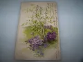 Красива австрийска пощенска картичка цветя,  1903г., снимка 2