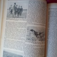   Wid and hund немско ловджийско списание 1930 - 1937 г, снимка 9 - Антикварни и старинни предмети - 37319252