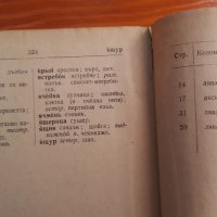 руско български речник 1955 година, снимка 4 - Чуждоезиково обучение, речници - 28799433