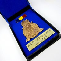 Министерство на отбраната-Румъния-Почетен медал-Пехотен батальон, снимка 7 - Нумизматика и бонистика - 27365522