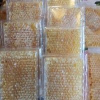 Пчелен мед във восъчна пита тип ''див градеж'', снимка 2 - Пчелни продукти - 34944871