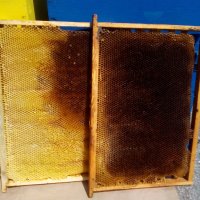 Изградени пчелни пити, снимка 6 - За пчели - 24401317