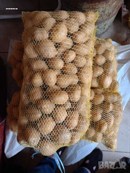 Продавам картофи , снимка 1