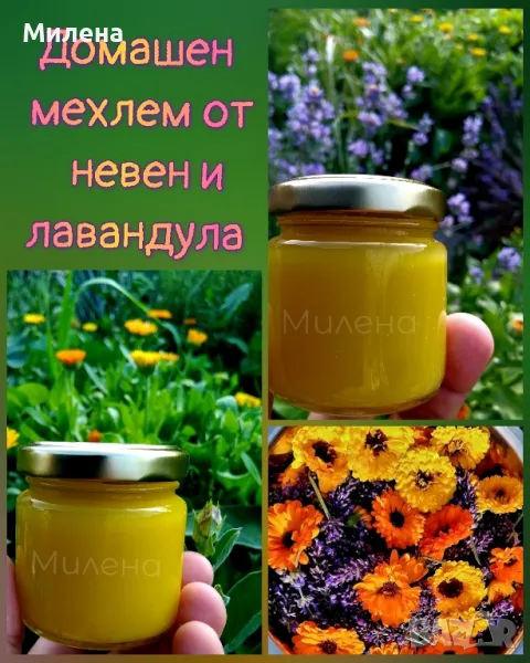 Домашен мехлем от невен и лавандула , снимка 1