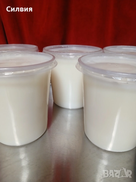 Свинска мас без сол 500 мл., снимка 1