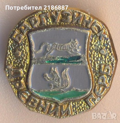 Значка СССР Баргузинск Серия Древний герб. , снимка 1