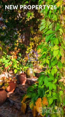 Представяме ви уникален имот за продажба – работещ хотел + самостоятелна къща и два гаража в Созопол, снимка 17 - Хотели - 52955005