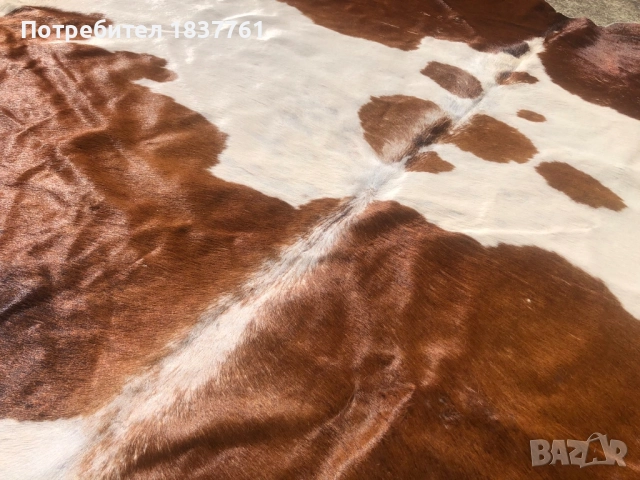 Телешка кожа , снимка 5 - Други стоки за дома - 52242953