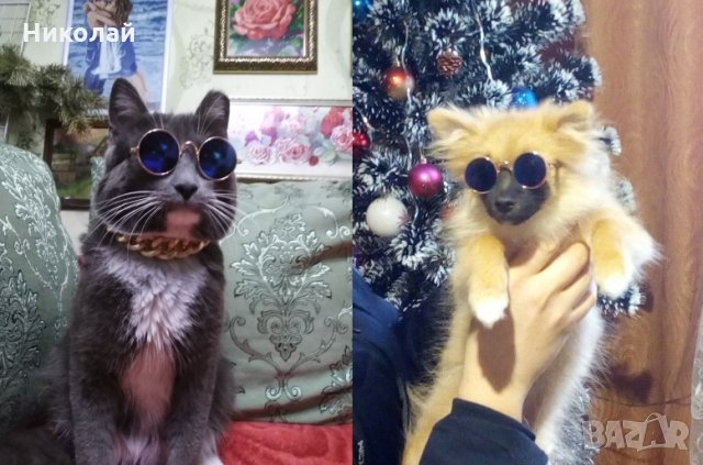 Слънчеви очила за котки и кучета , очила за куче котка, снимка 9 - За котки - 28157944